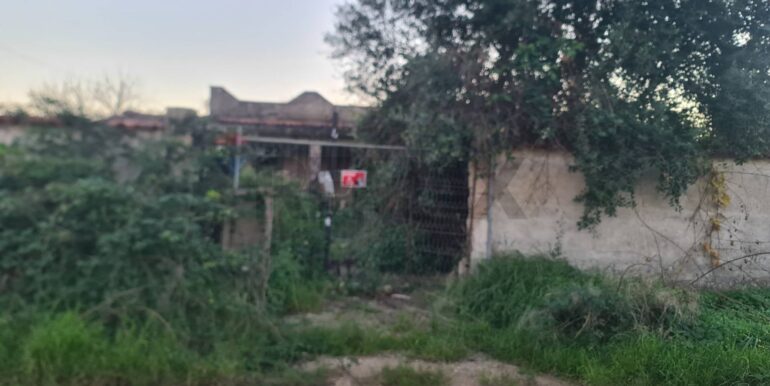 20260127131338-1019979-1