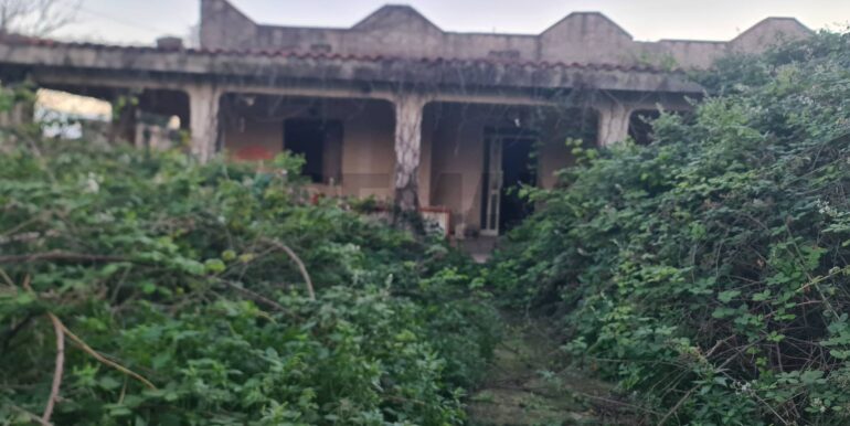 20260127131342-1019979-2