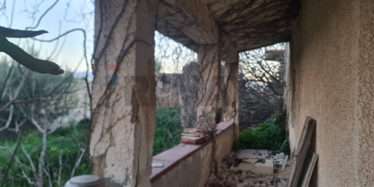 20260127131347-1019979-4