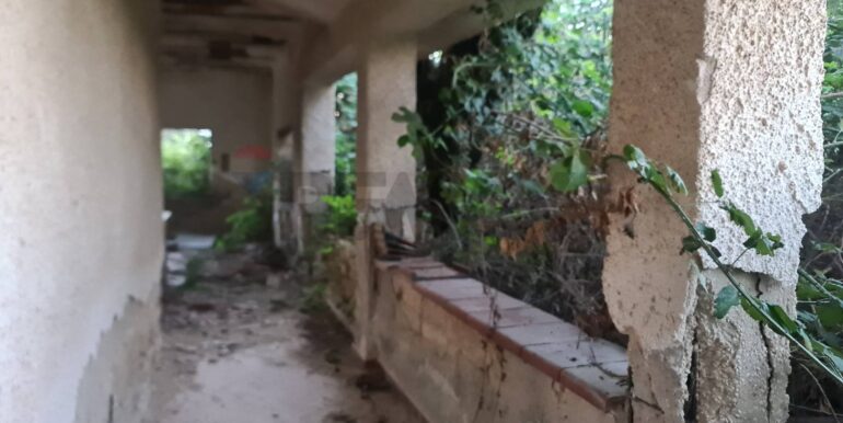 20260127131350-1019979-5