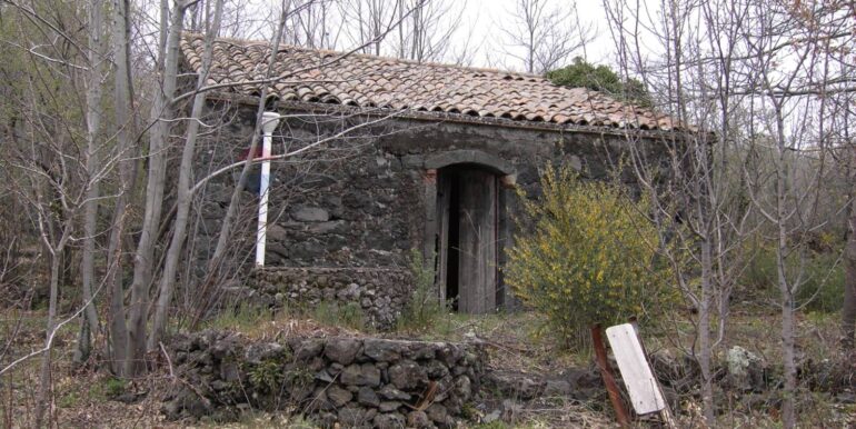 20260127185446-1020094-1