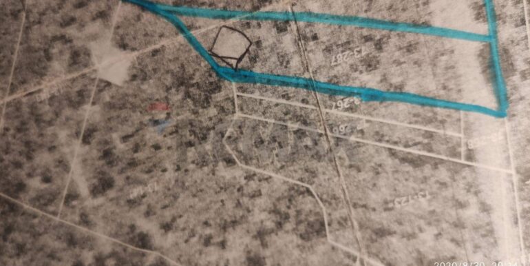 20260127192059-1020094-7