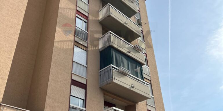 20260128191619-1020441-1