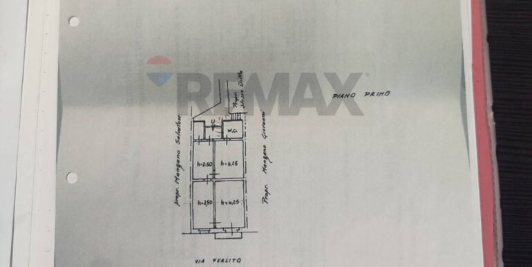 20260129184536-1020661-19