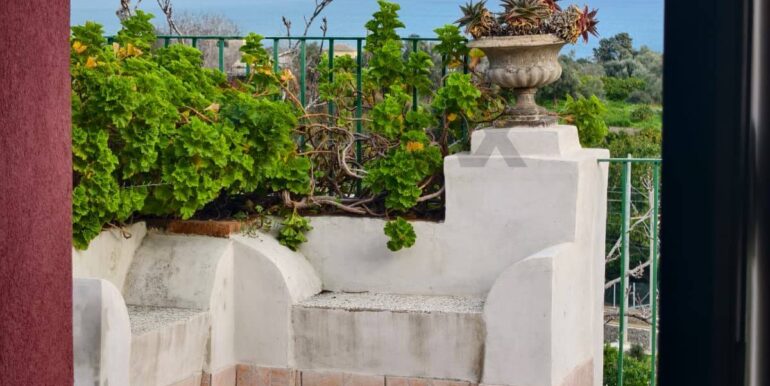 20260129185302-1020668-6