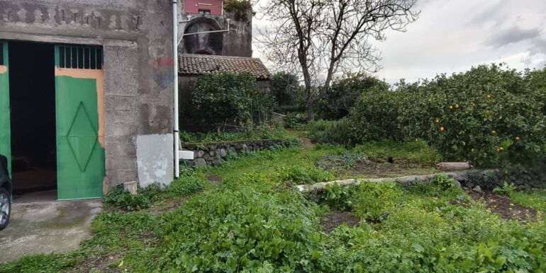 20260129185325-1020668-15