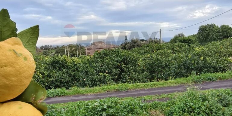 20260129185327-1020668-16