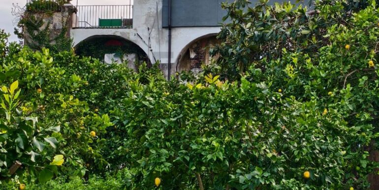 20260129185330-1020668-17