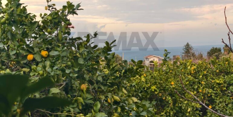 20260129185334-1020668-19