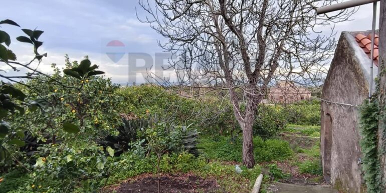 20260129185337-1020668-20