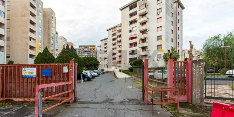 20260130100358-1019684-1