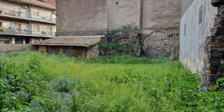 20260130104630-1020879-0