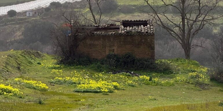 20260130161829-1020979-1