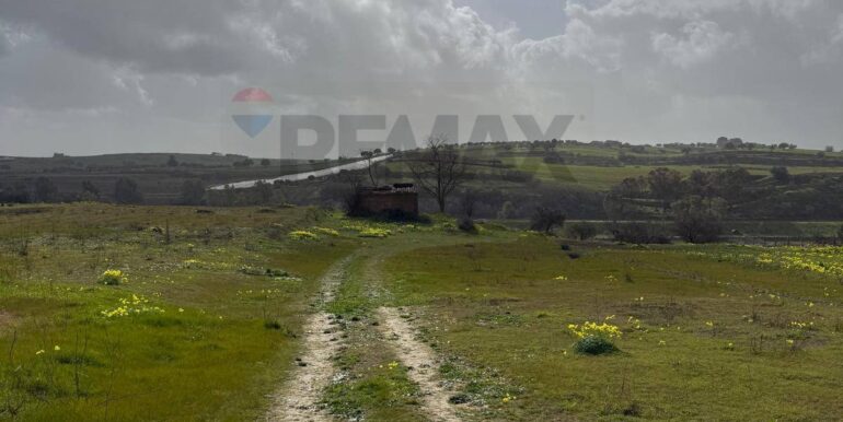 20260130161833-1020979-2