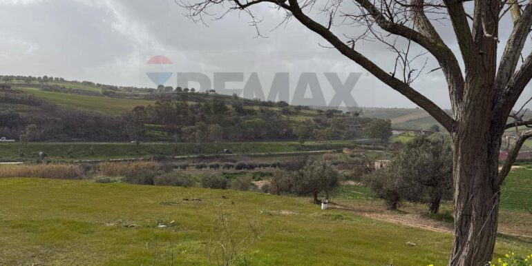 20260130161842-1020979-5