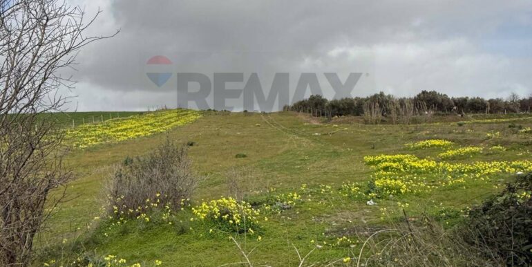 20260130161844-1020979-6