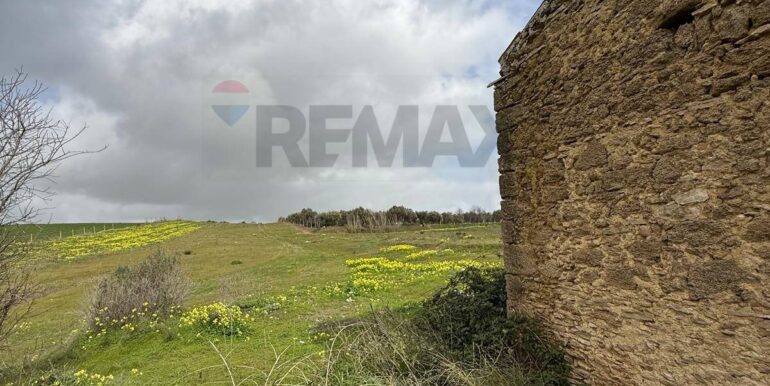 20260130161847-1020979-7