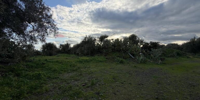 20260130215844-1020967-2