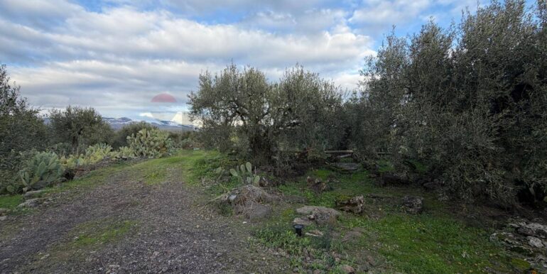 20260130215846-1020967-3