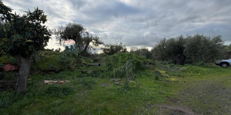 20260130215849-1020967-4