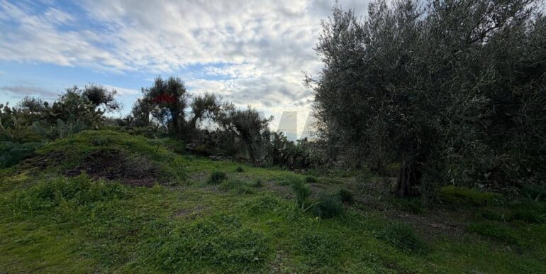 20260130215852-1020967-5