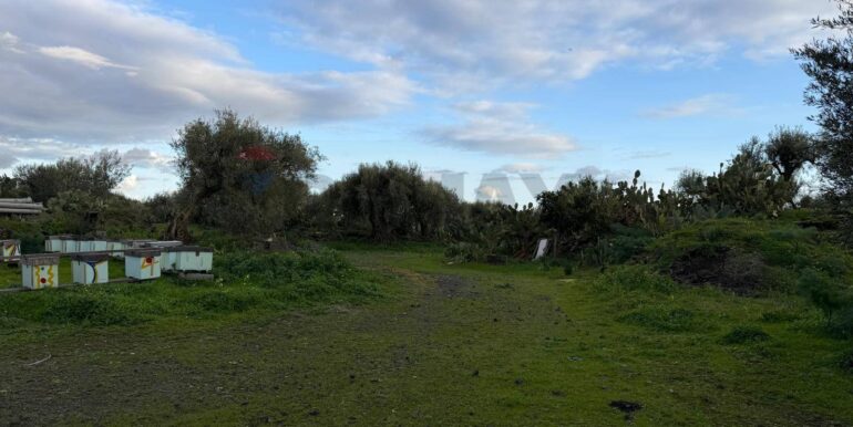 20260130215854-1020967-6