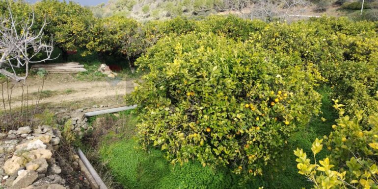 2026013091341-1020711-1