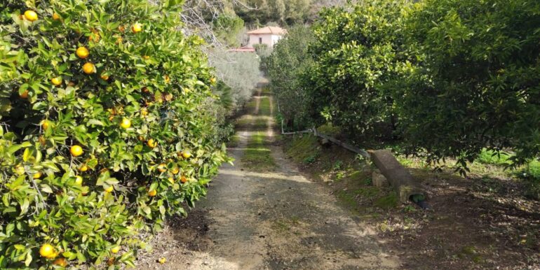 2026013091342-1020711-2