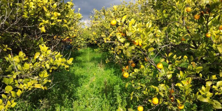 2026013091343-1020711-4