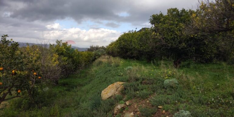 2026013091344-1020711-6