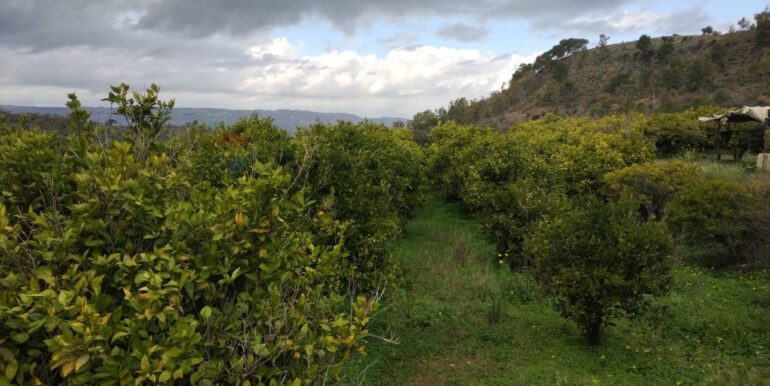 2026013091344-1020711-7