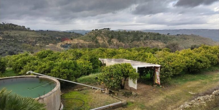 2026013091344-1020711-8