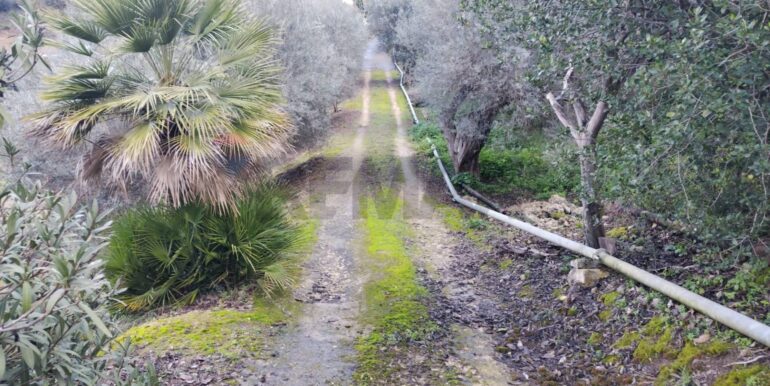 2026013091348-1020711-27