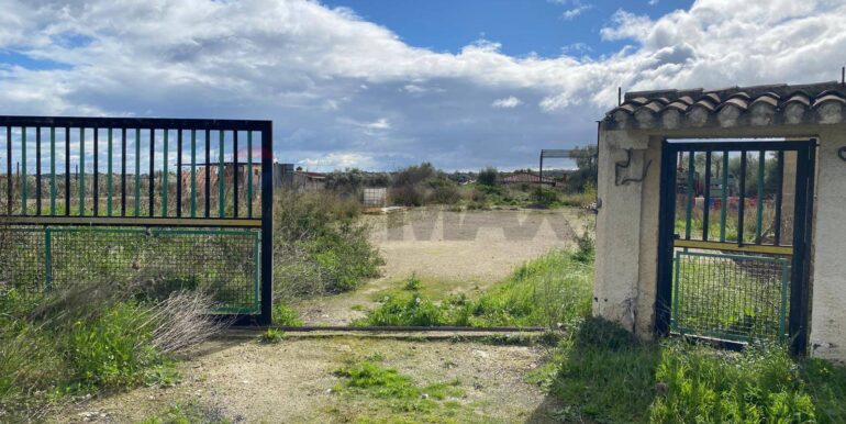 20260131102156-1020685-1