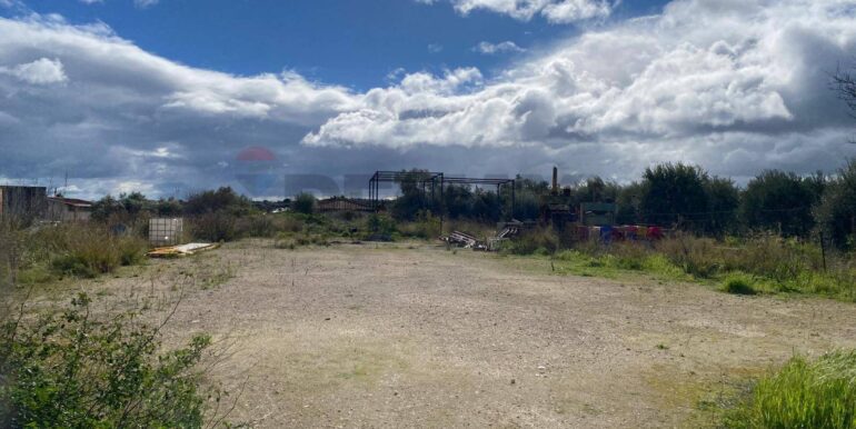 20260131102207-1020685-4