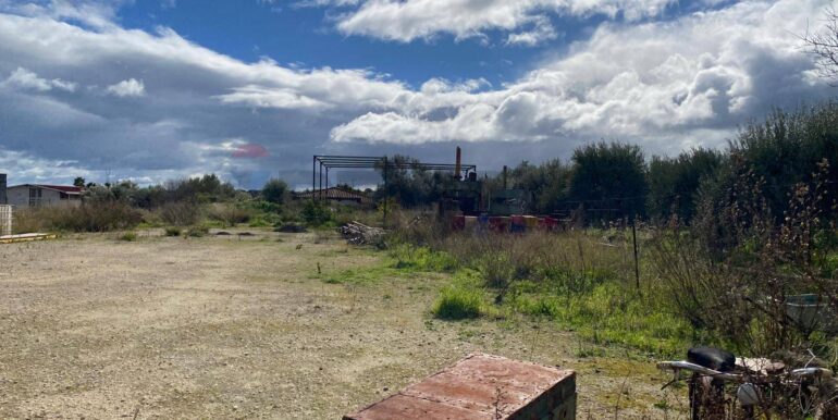 20260131102216-1020685-7