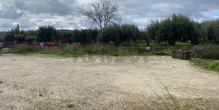 20260131102231-1020685-12