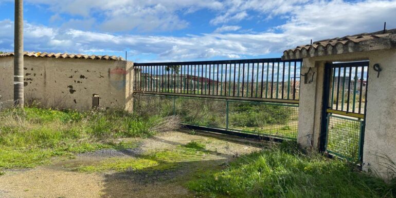 20260131102240-1020685-15