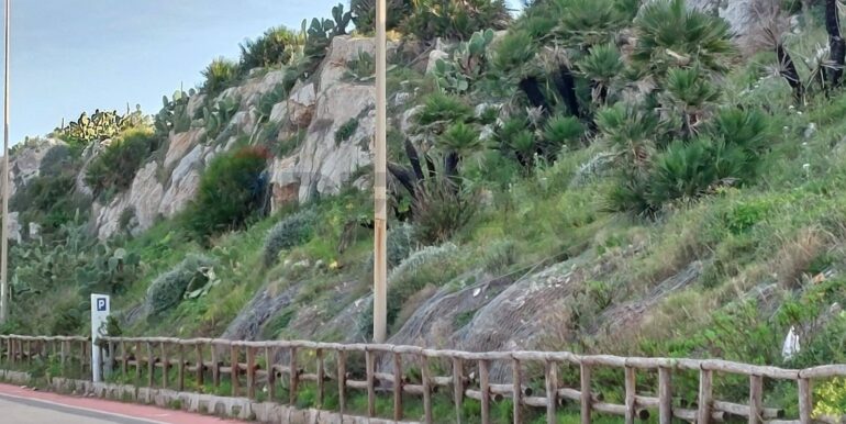 20260131130213-1021143-2