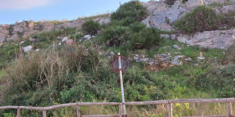 20260131130214-1021143-3