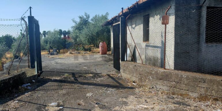 20260131160347-1019579-1