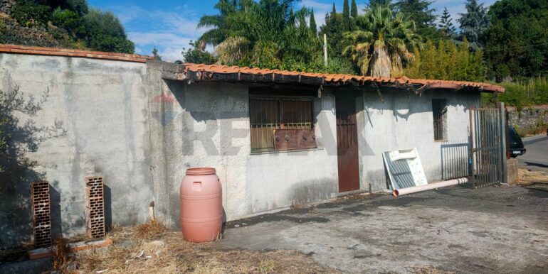 20260131160351-1019579-2