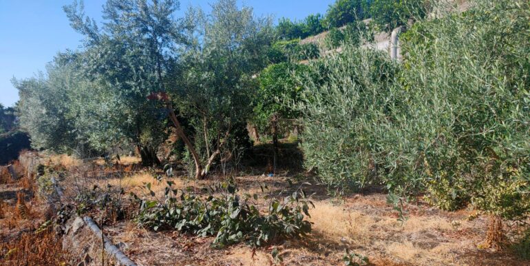 20260131160355-1019579-3