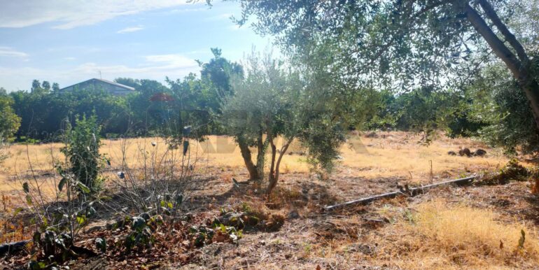 20260131160359-1019579-4