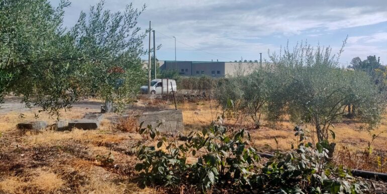 20260131160406-1019579-6