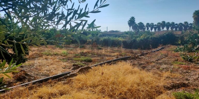 20260131160410-1019579-7