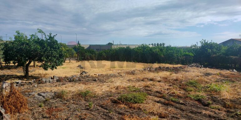 20260131160414-1019579-8