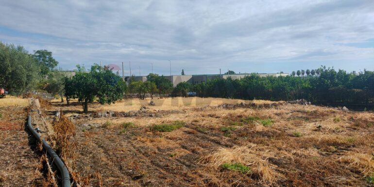 20260131160422-1019579-10