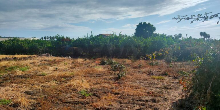 20260131160426-1019579-11