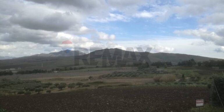 20260201103950-1021170-2